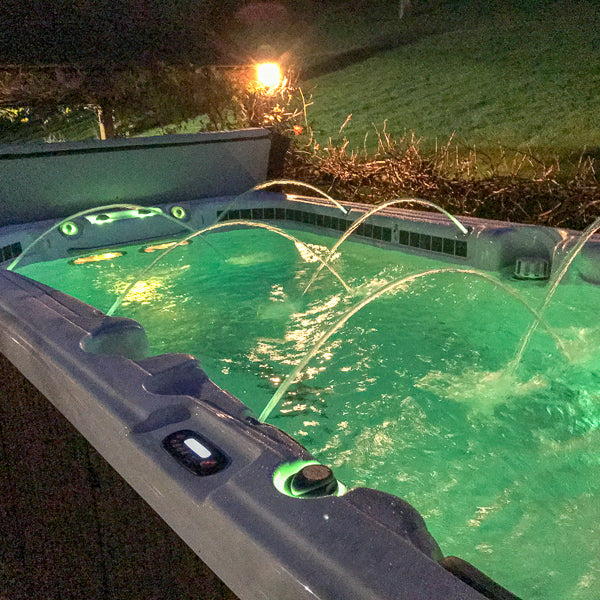 Swim Spa Pro Series 13' by Dynasty Spas