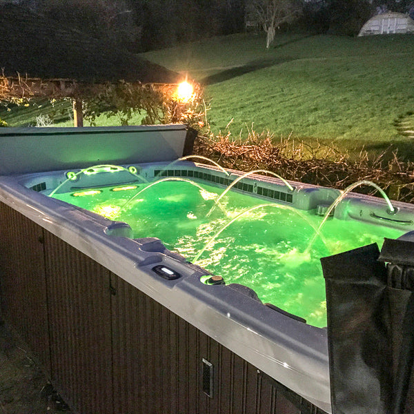 Swim Spa Pro Series 13' by Dynasty Spas